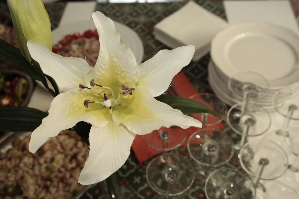 روما St. John Villa المظهر الخارجي الصورة